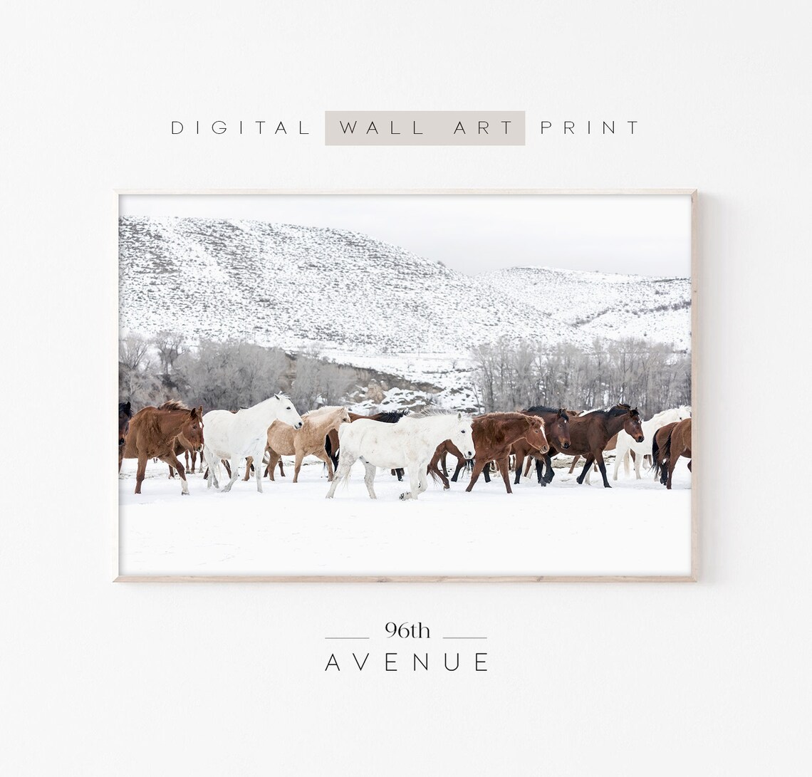 Winter Horses Farmhouse Horse Photography Art Print