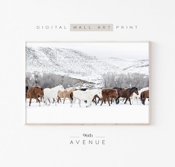 Winter Horses Farmhouse Horse Photography Art Print
