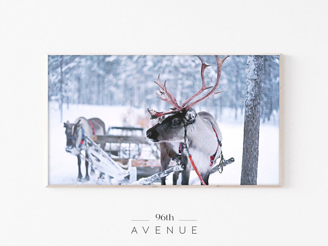 Winter Reindeer Sleigh Holiday Art Print