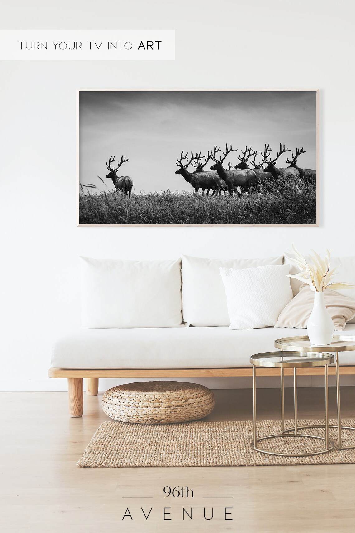Black and White Photo of an Elk Herd on a Grassy Hill Poster - Image 2