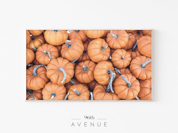 Overhead Pile of Mini Orange Pumpkins Thanksgiving Harvest Poster