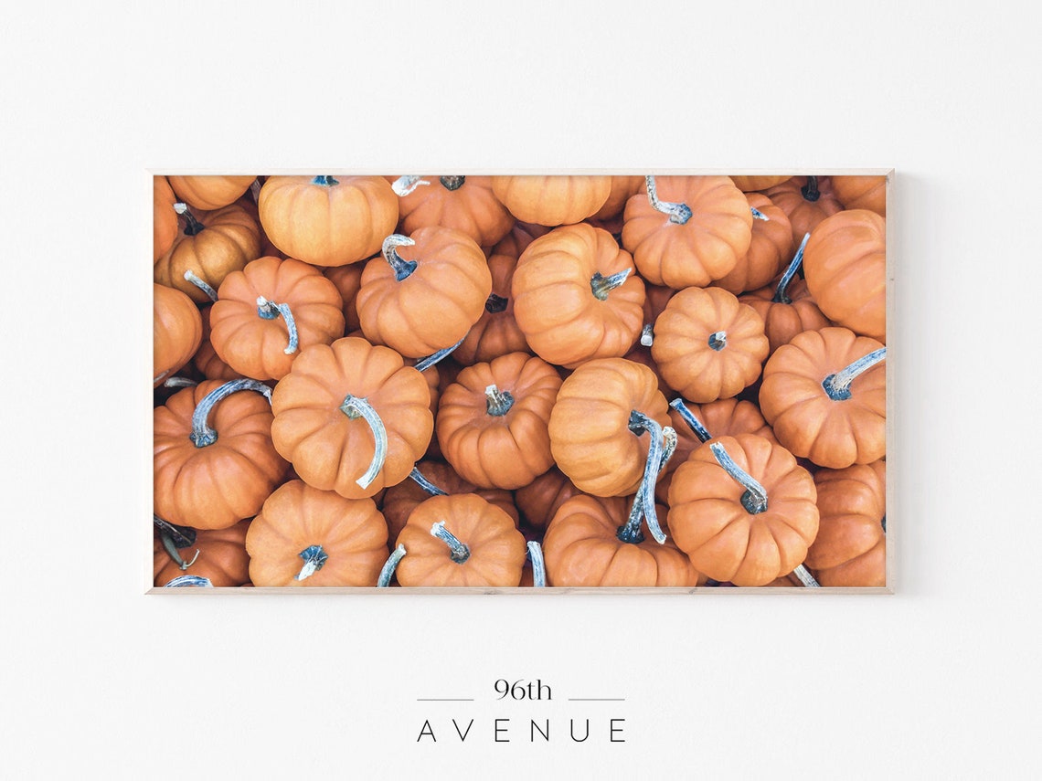 Overhead Pile of Mini Orange Pumpkins Thanksgiving Harvest Poster
