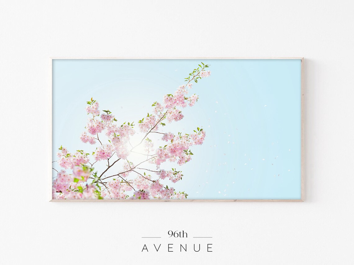 Cherry Blossom Art for TV