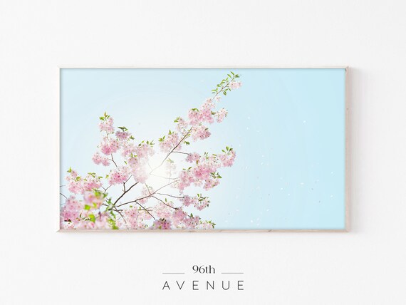 Cherry Blossom Art for TV
