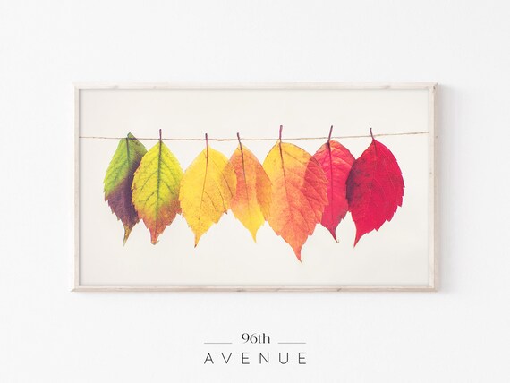 Colorful Autumn Leaves, Fall Art Print