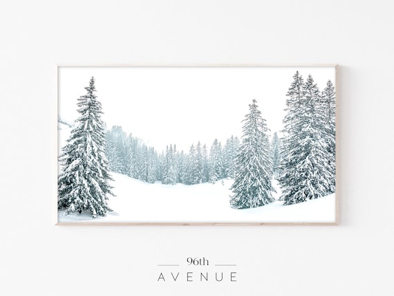 Snowy Evergreen Forest Valley Winter Trees Photography Poster