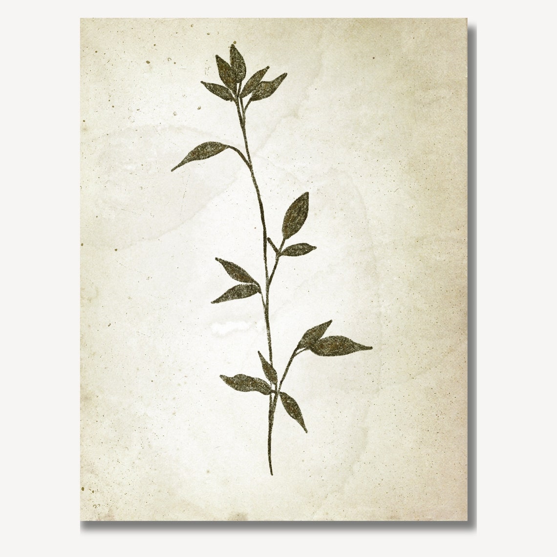 Vintage Botanical Leaf Stem Sketch Neutral Minimalist Nursery Poster - Image 3