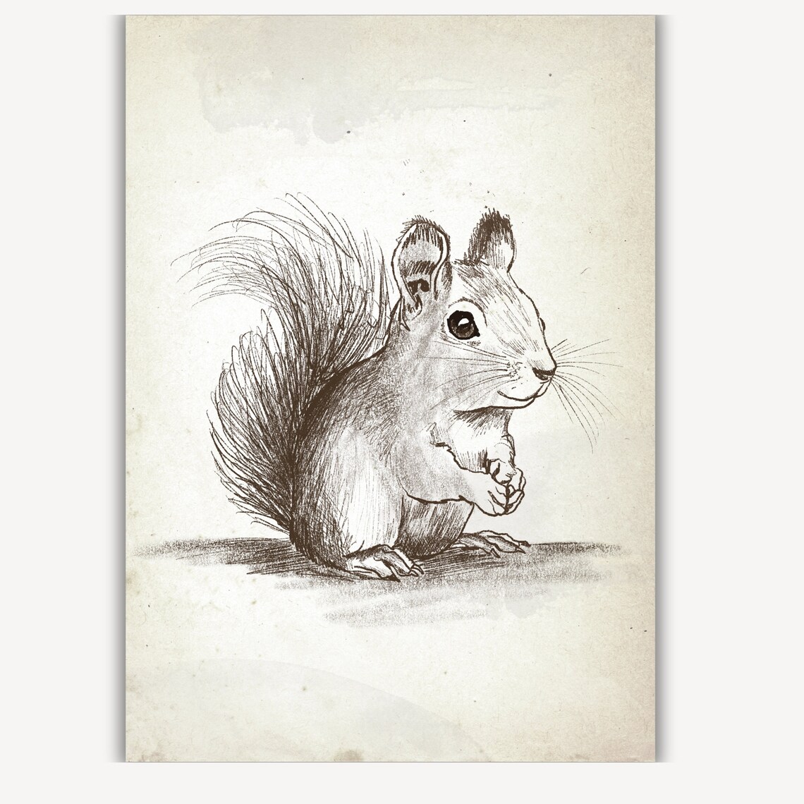 Vintage Squirrel Pencil Sketch Woodland Animal Nursery Wall Art - Image 4