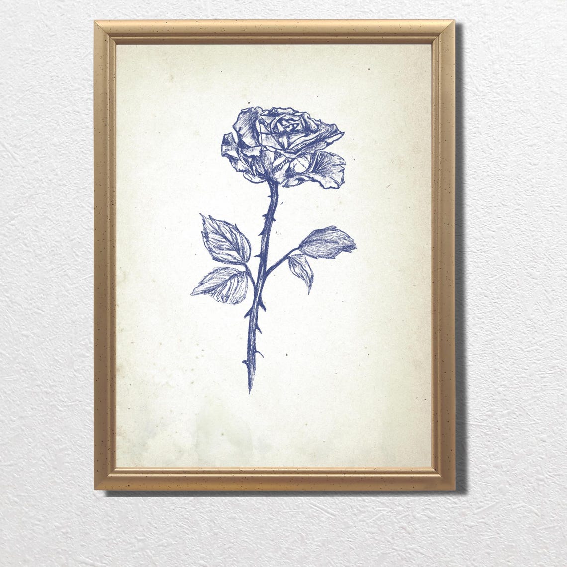 Single Blue Rose Stem in Vintage Botanical Ink Sketch Poster