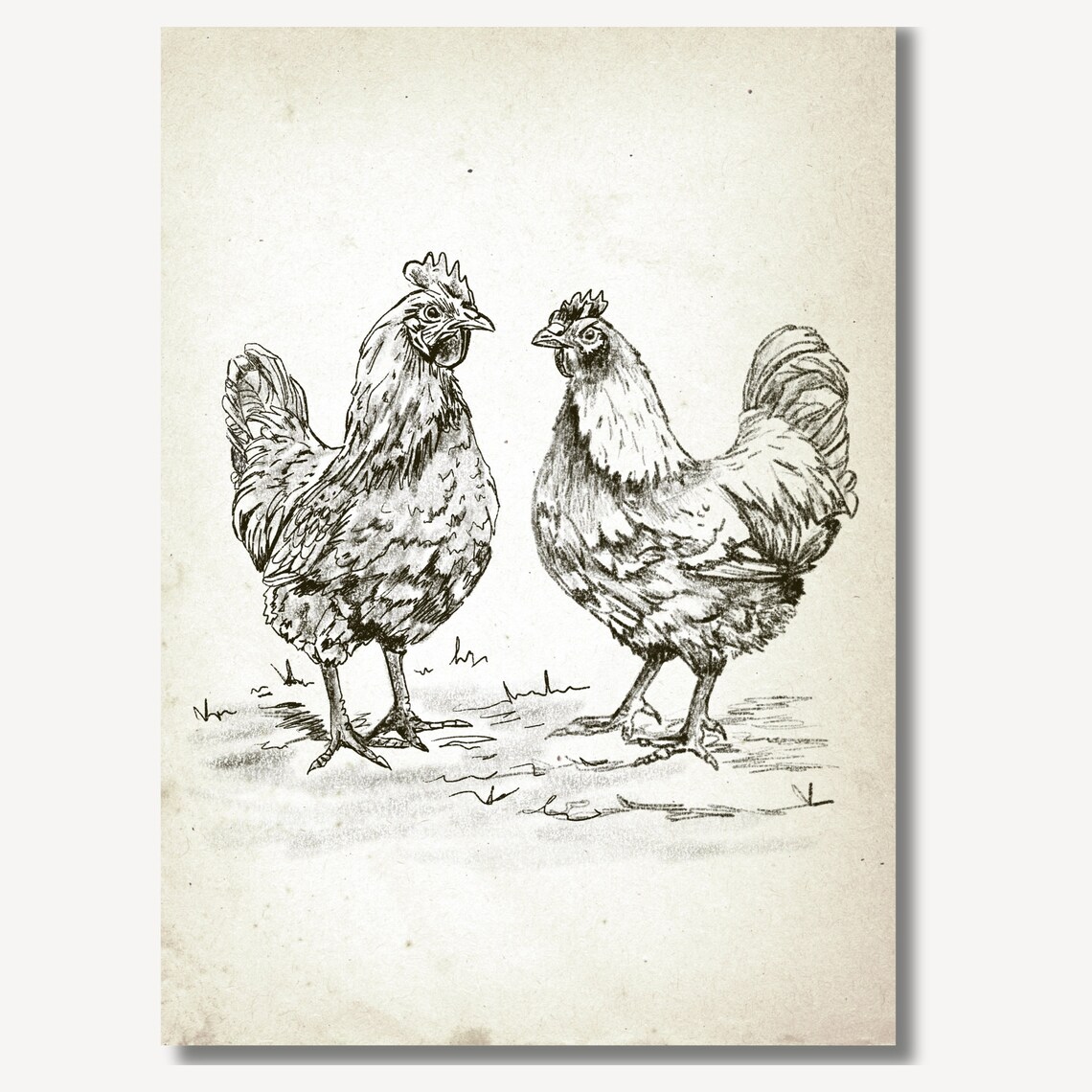 Two Chickens Hen Rooster Vintage Pencil Sketch Farmhouse Wall Art - Image 3