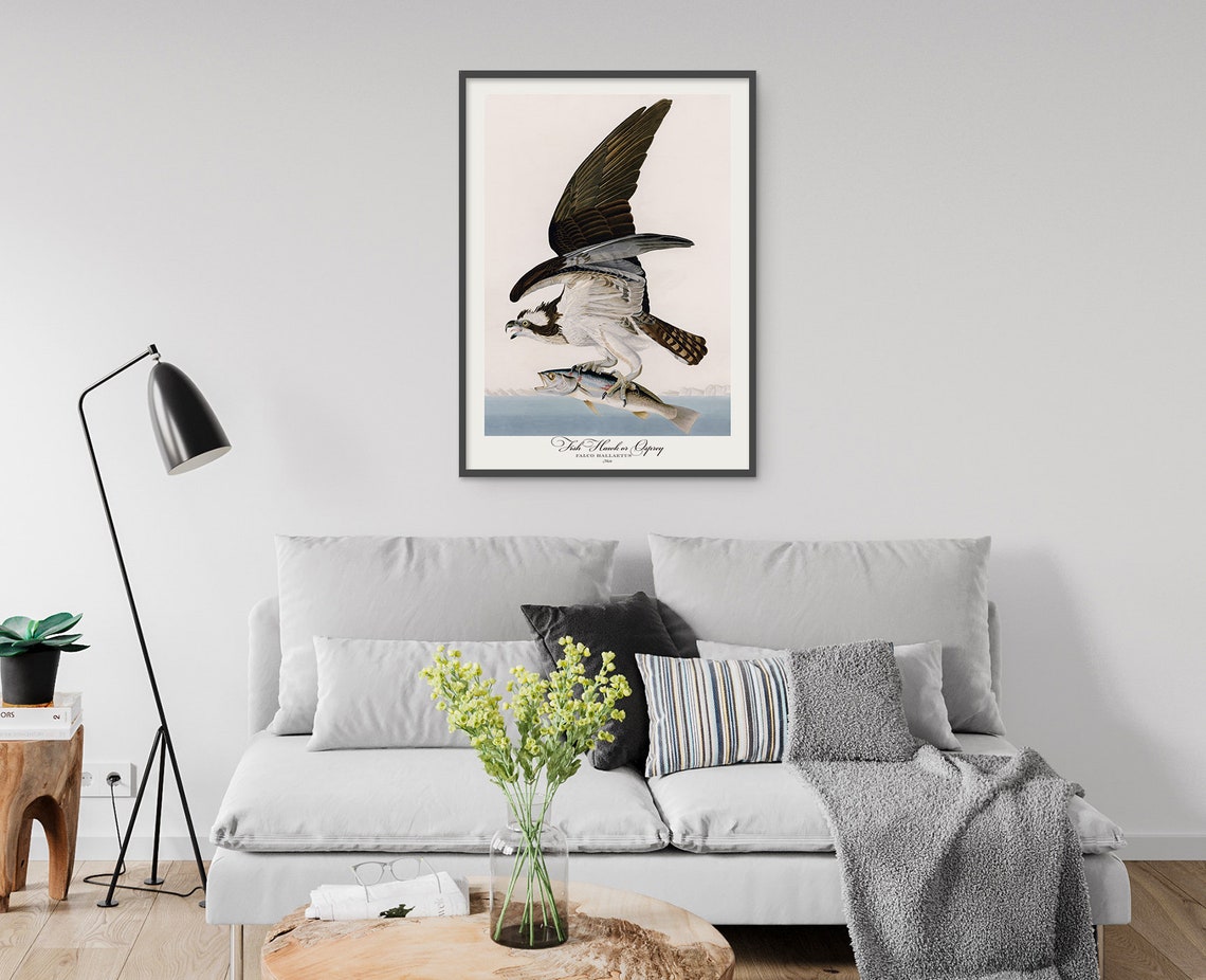 Fish Hawk Osprey Carrying a Fish Vintage Bird Plate Style Poster - Image 4