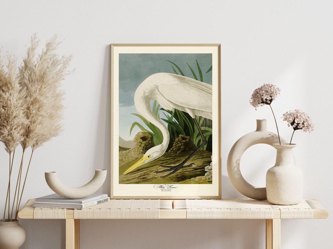 Audubon White Heron Vintage Retro Art Print Set - Image 6