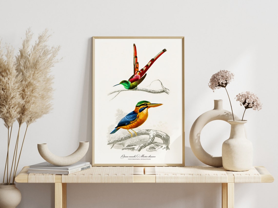 Carolina Parrot Audubon Style Vintage Bird Art Gallery Wall Poster - Image 3