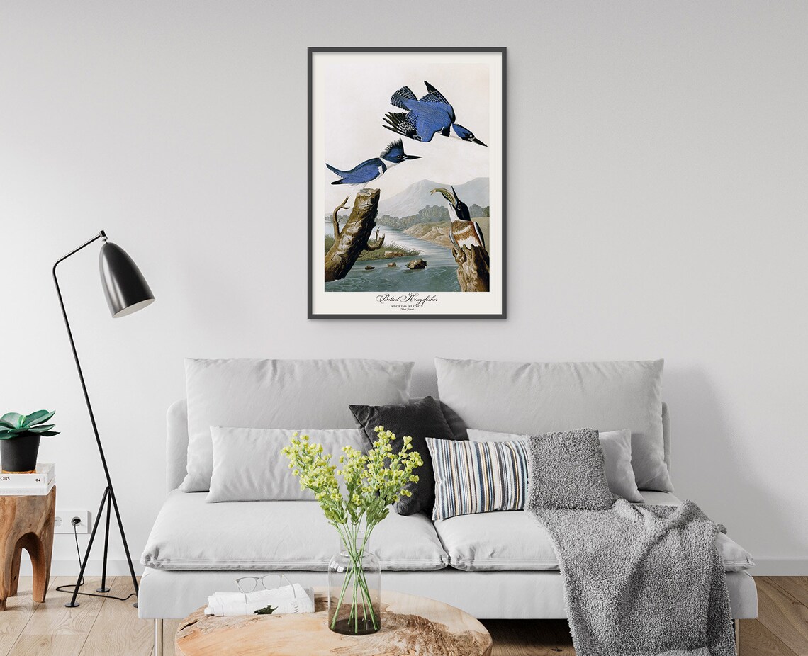 Belted Kingfisher Audubon Style Vintage River Bird Trio Nature Poster - Image 5