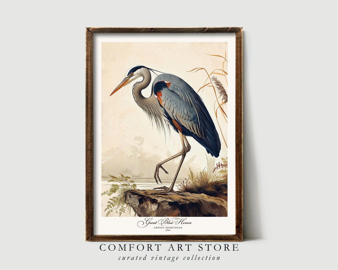 Audubon Style Blue Heron Vintage Nature Art Print - Image 4