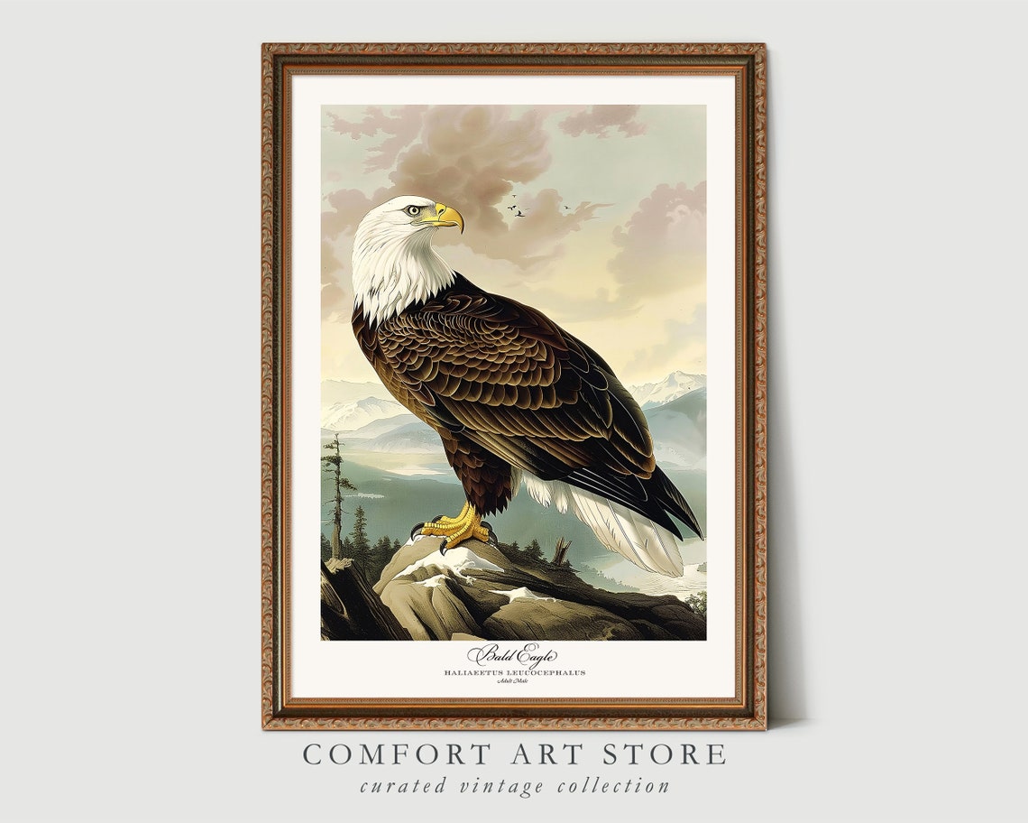Bald Eagle Audubon Style Vintage Mountain Lake Perched Raptor Poster - Image 2