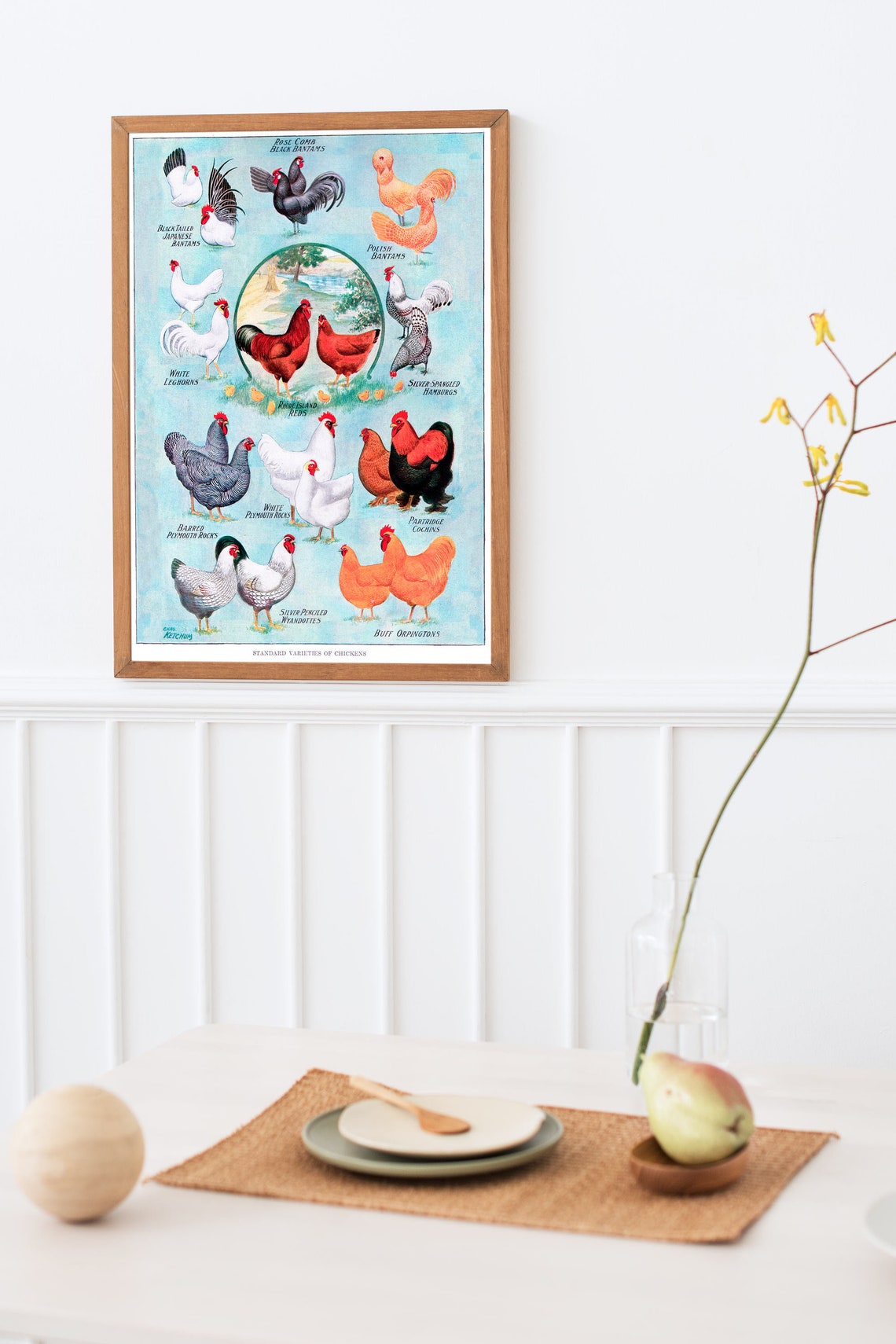 Standard Varieties of Chickens Vintage Poultry Breed Chart Poster - Image 3