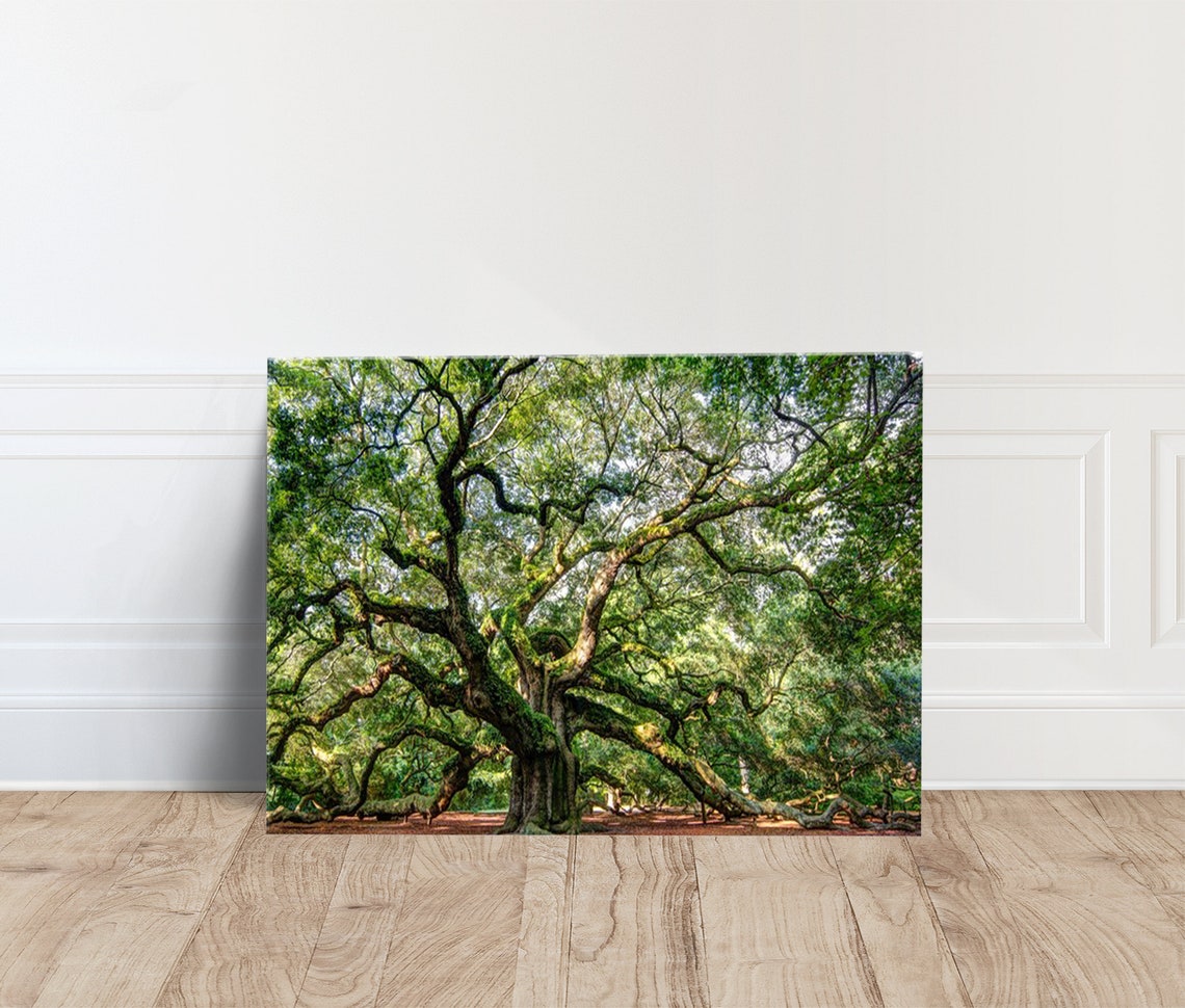Majestic Ancient Oak Tree Sprawling Canopy Green Nature Photo Poster