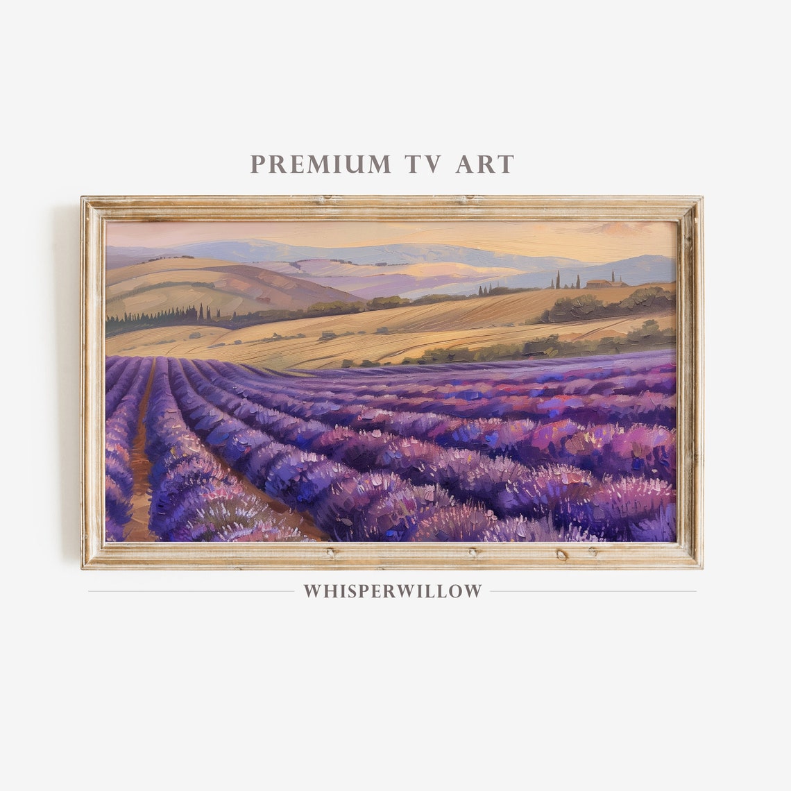 Purple Lavender Field Rows Rolling Hills Sunset Landscape Poster