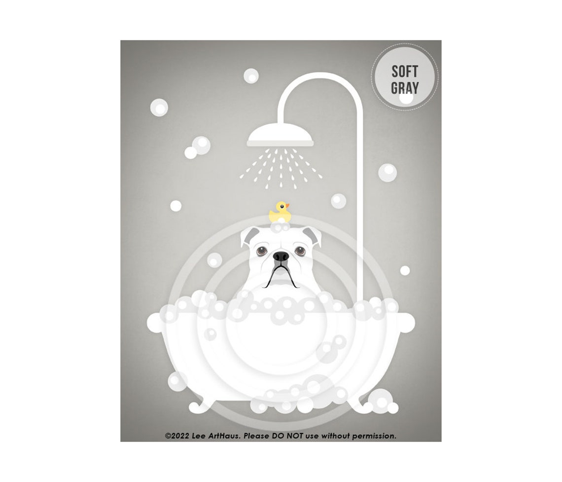 White English Bulldog Taking Bubble Bath With Rubber Duck Poster - Image 3