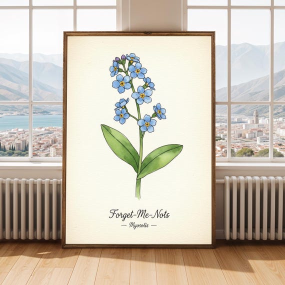Forgetmenot Flower Poster Vintage Botanical Watercolor Print