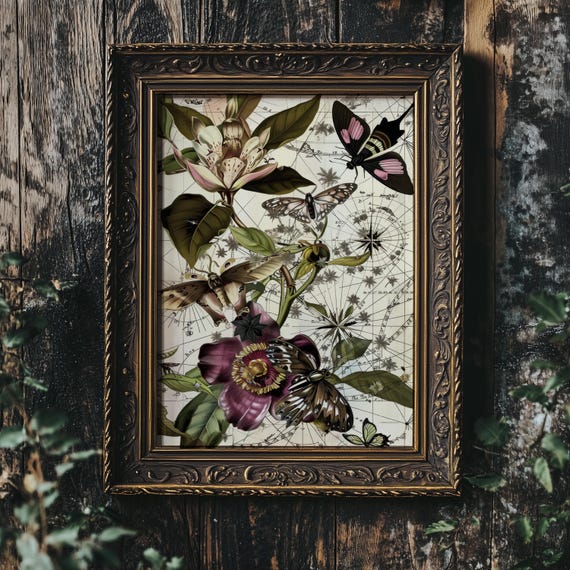 Botanical Astronomy Art Print Vintage Celestial Rose Poster