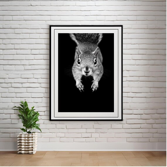 Black and White Squirrel Portrait Minimalist Wildlife Poster