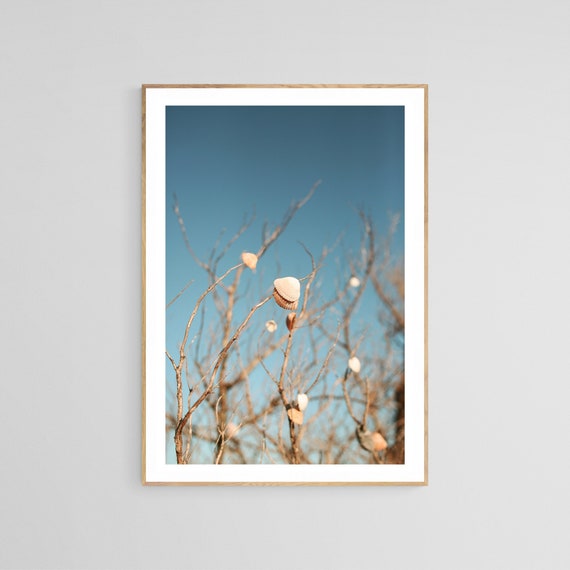 Seashells In The Sky, Nautical Beach Decor