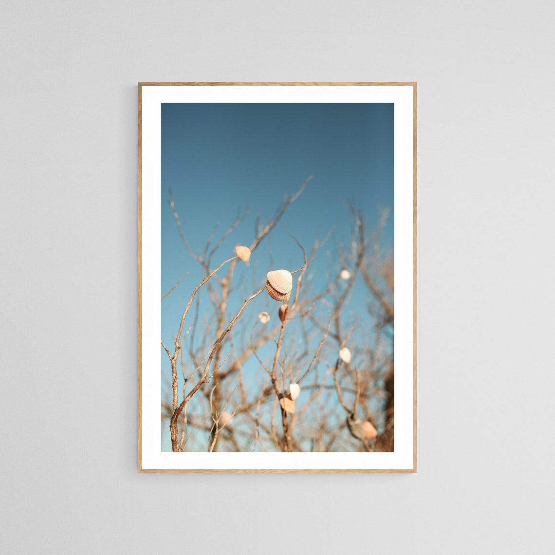 Seashells In The Sky, Nautical Beach Decor