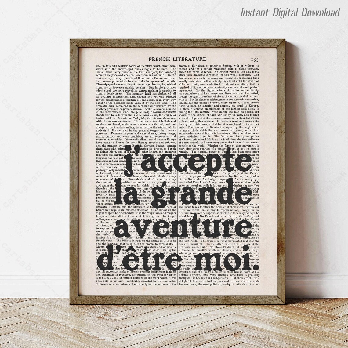 Simone de Beauvoir Jaccepte La Grande Aventure French Quote Wall Art Print