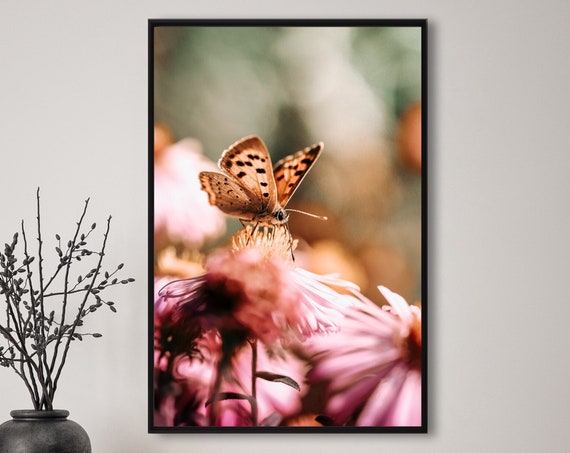 Butterfly Photography Nature Wall Art Poster Fine Art Print Macro Nature Photography Decor Art Wall Design Flower