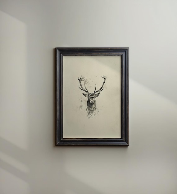 Buck Deer Sketch Antlers Art Vintage Stag Drawing Painting Animal