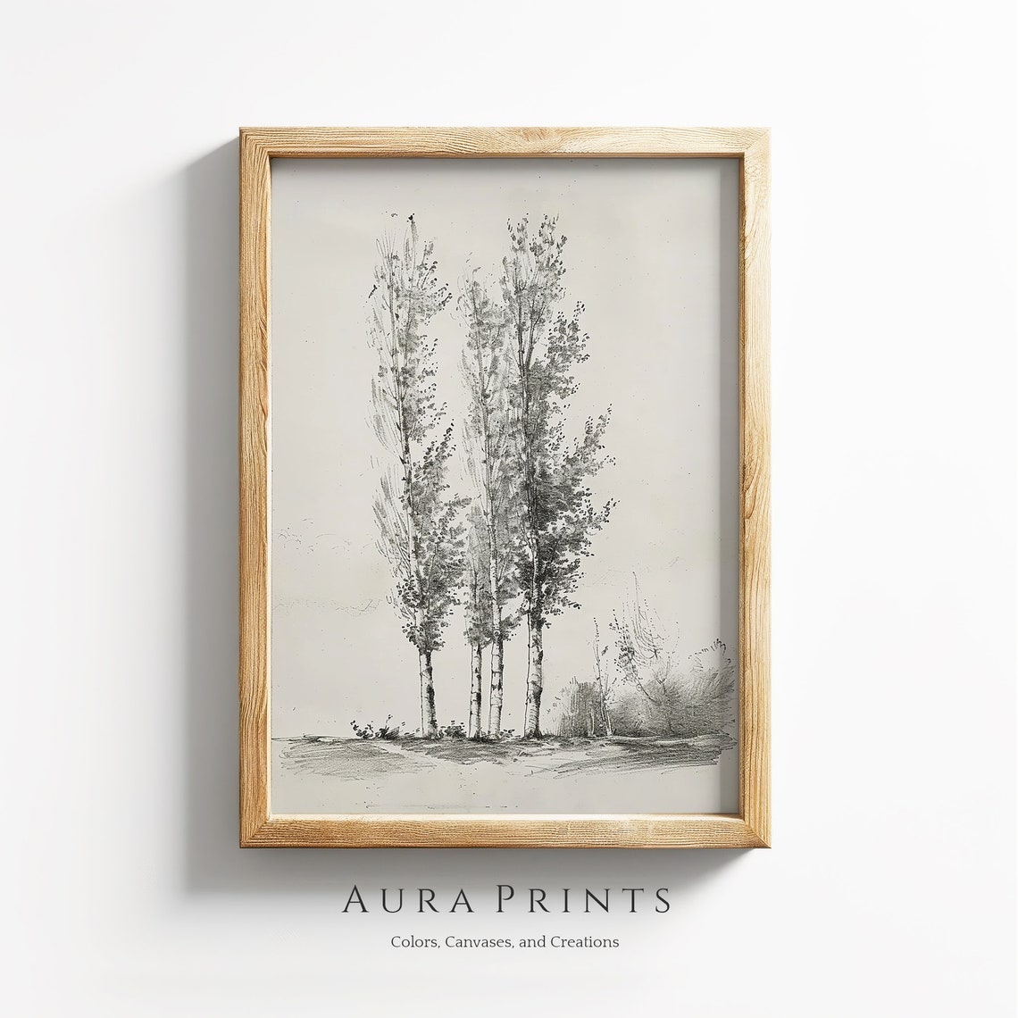 Tall Birch Trees Pencil Sketch Neutral Vintage Forest Art Poster