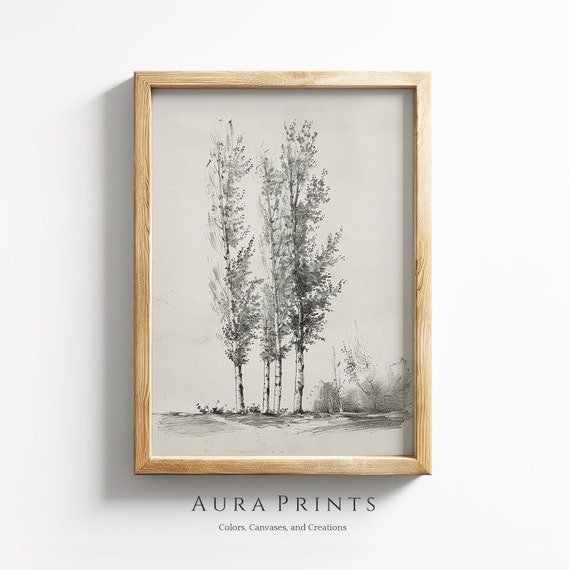 Birch Tree Sketch Neutral Drawing Vintage Wall Art Rustic Cottage Gift 0989