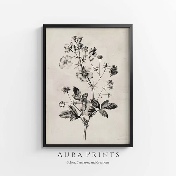 Garden Botanicals Sketch Wall Art Vintage Cottage Style For Bathroom Or Guest Room 0755