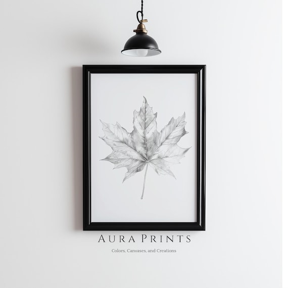 Delicate Maple Leaf Botanical Pencil Sketch Minimalist Line Art Poster