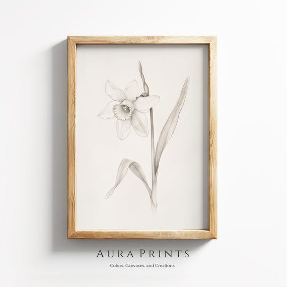 Antique Daffodil Botanical Pencil Sketch Neutral Wall Decor Vintage Farmhouse Gift Cottage Nursery Art 1134