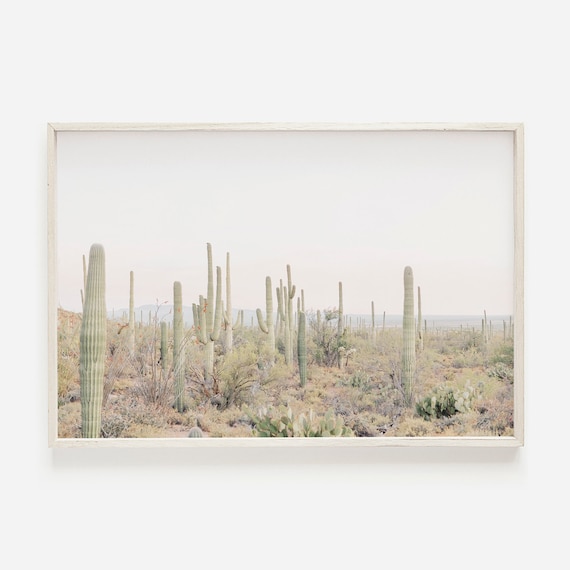 Arizona Desert Print Sonoran Desert Photo Southwestern Wall Art Desert Landscape Wall Art Pastel California Desert Western