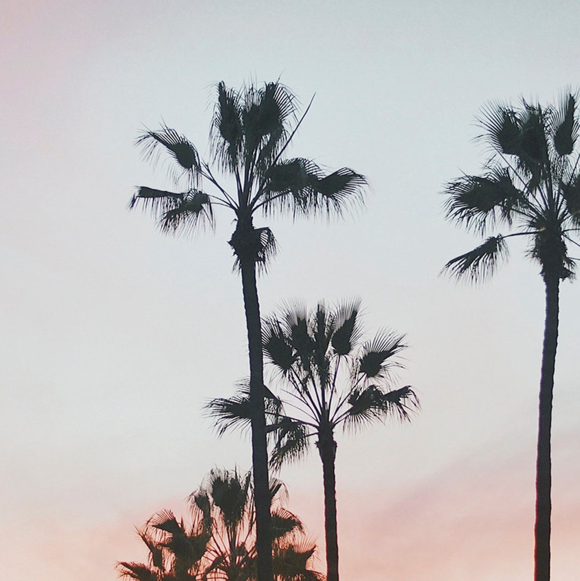 Palm Tree Silhouettes Pastel Pink Sunset Sky California Travel Poster - Image 2