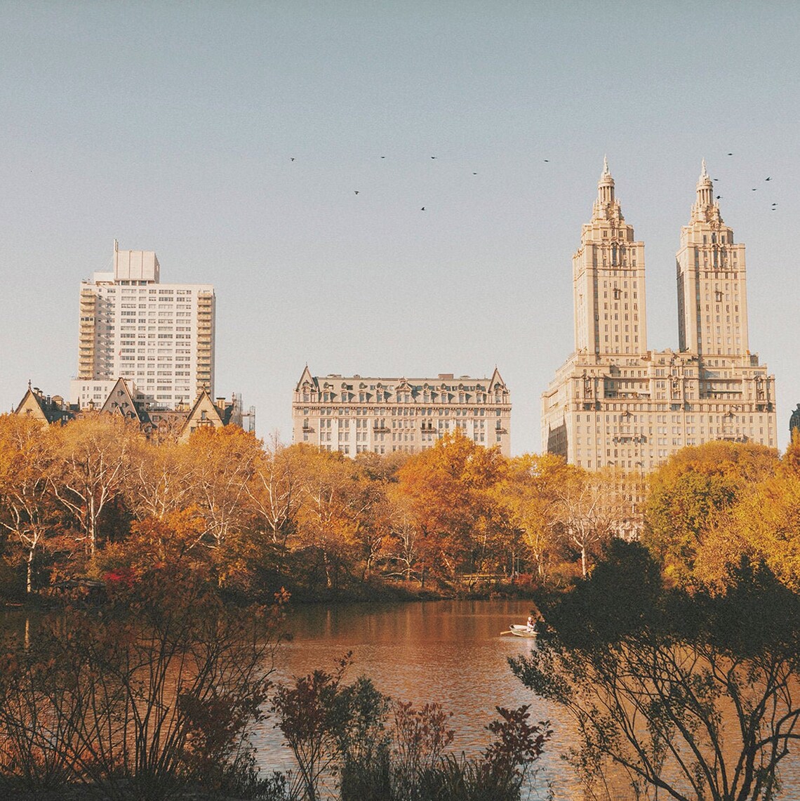 Central Park New York Fall Travel Poster - Image 2