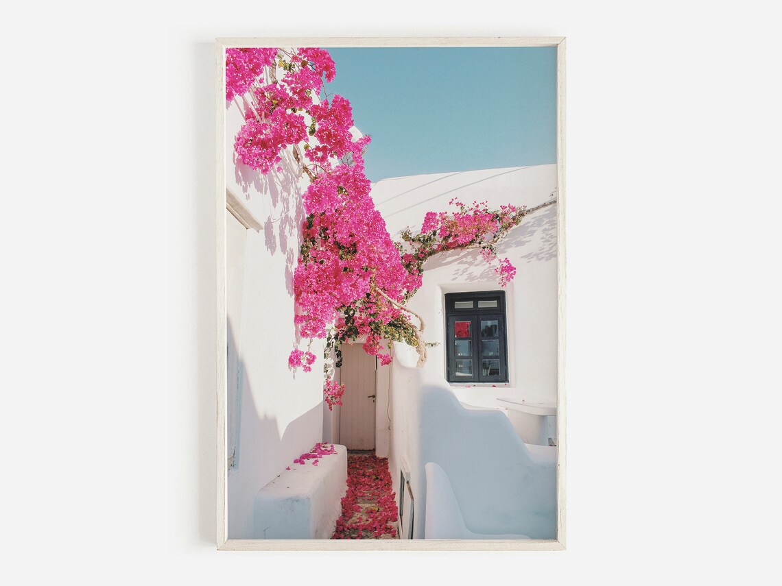 Santorini Greece Photography Art Print, Pink Bougainvillea