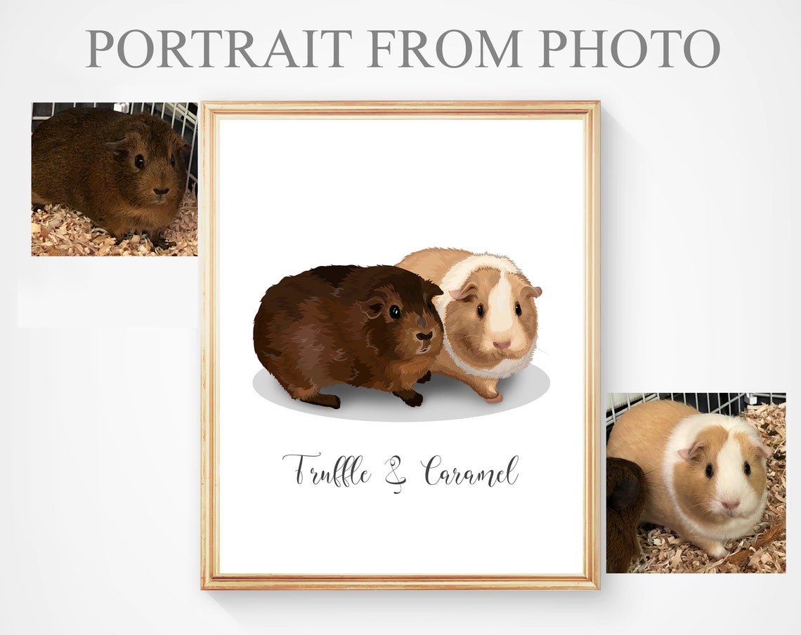 Portrait Of 2 Guinea Pigs Memorial Hamster Portrait Pet Portrait Hamster Gift Pet Memorial Guinea Pig Guinea Pig Picture - Image 5
