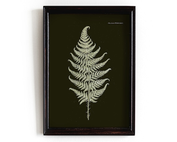 Dark Academia Fern Botanical Moody Olive Black Nature Wall Poster