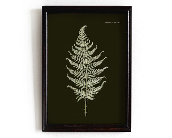 Dark Botanical Gallery Wall Art Moody Floral Print Set Fern Academia