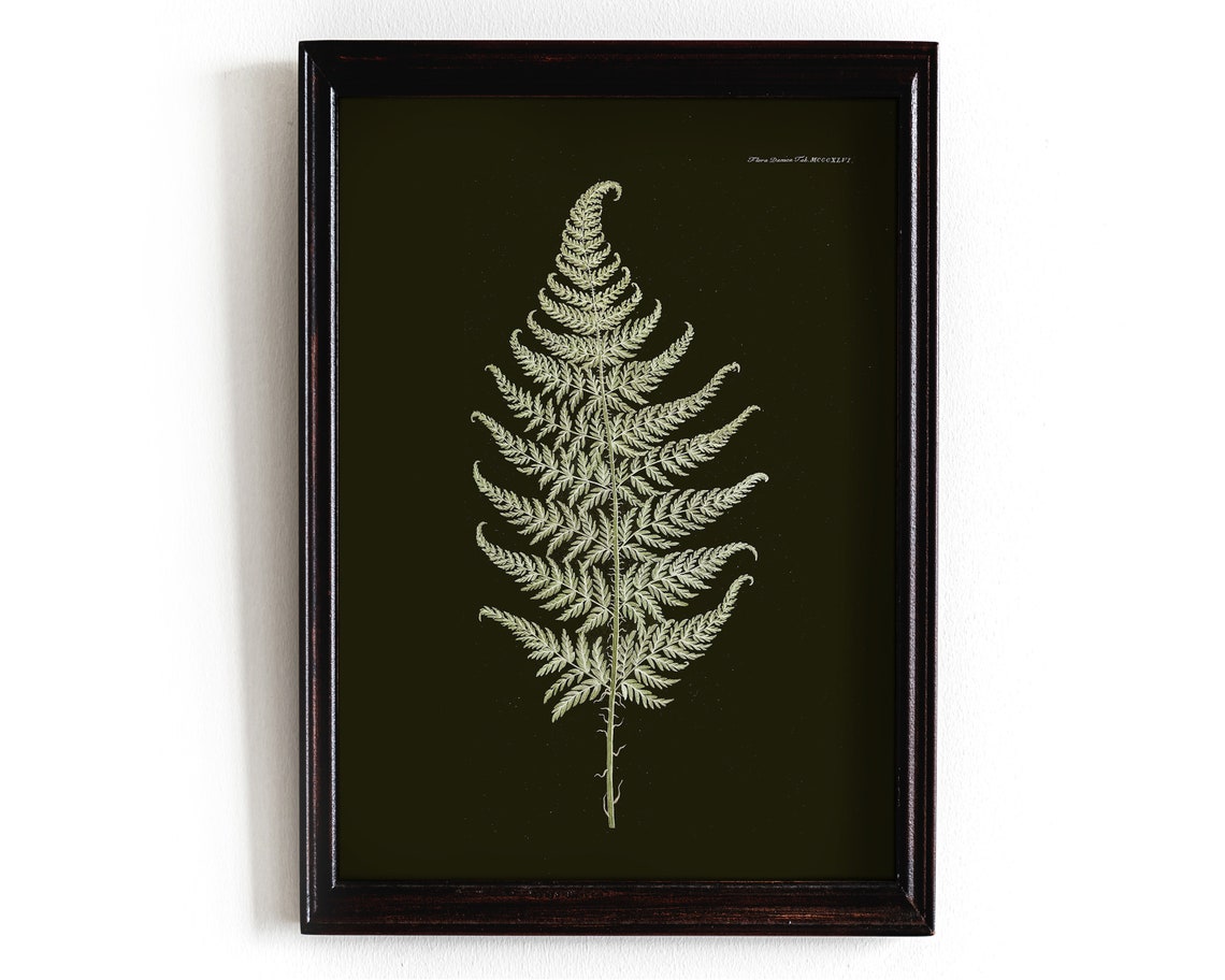 Dark Botanical Gallery Wall Art Moody Floral Print Set Fern Academia