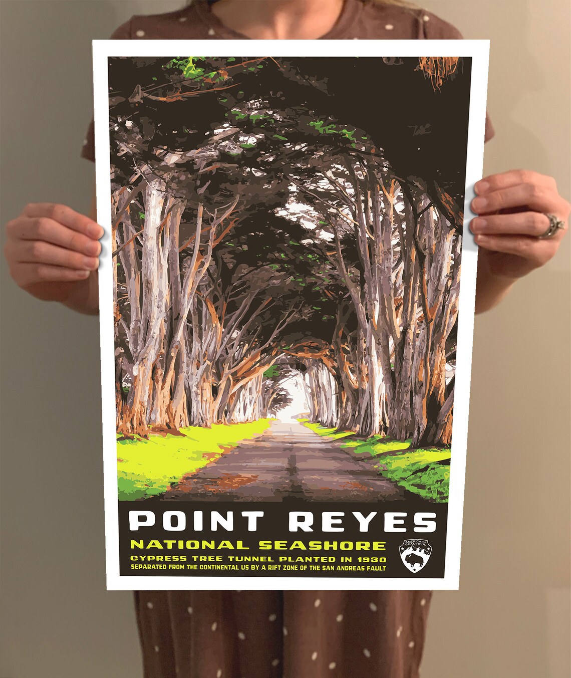 Point Reyes National Seashore Vintage Travel Poster - Image 2