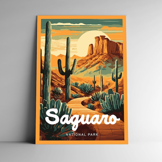 Saguaro National Park Desert Cactus Retro Sunset Illustration Poster