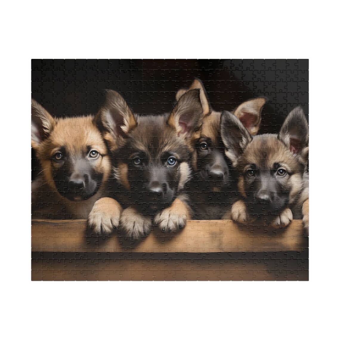 Four Cute German Shepherd Puppies Looking over a Wooden Ledge Poster - Image 5