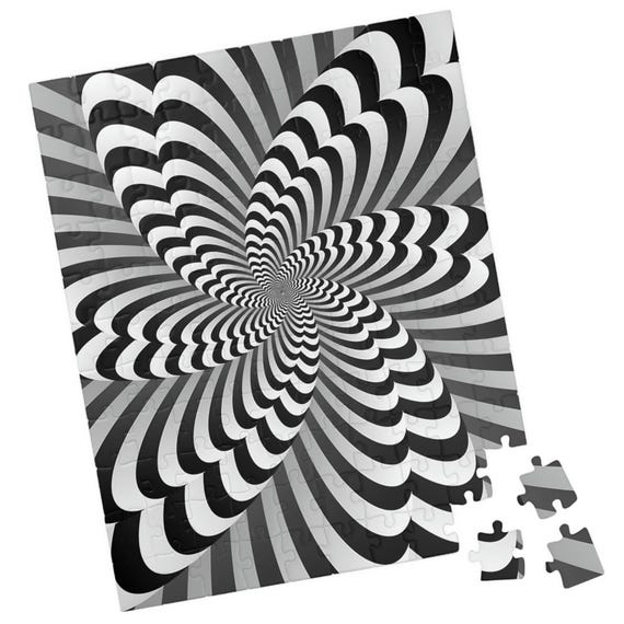 Twisted Challenging Optical Illusion Jigsaw Puzzle Great Gift For Holidays Birthdays Get Well And Nursing Homes Fun Tech Free Activity