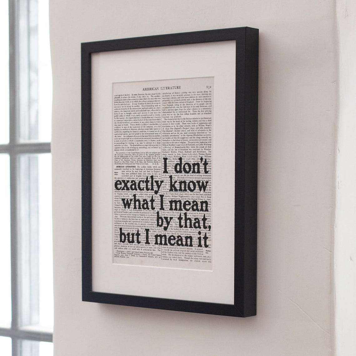 J D Salinger I Dont Exactly Know What I Mean Dictionary Quote Print - Image 4